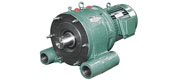 BW - T special cycloidal reducer