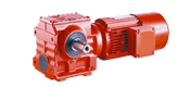 DCS series helical gears - worm gear motor