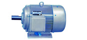 JY-H series three-phase asynchronous motor with ship