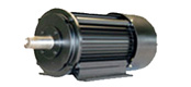 KCT series of switched reluctance motor (H132 ~ 250mm)