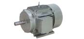Y2 series three-phase asynchronous motor (H63 ~ 355mm)