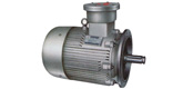 Flameproof three-phase asynchronous motor for YBGB series pipeline pump
