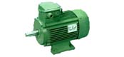 YCP series (IP54) three-phase asynchronous motor (exports)