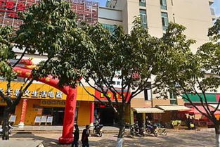 小白羊西環(huán)南路超市 珠寶首飾選購指南